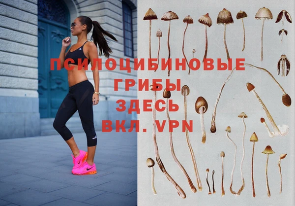 крисы Аркадак
