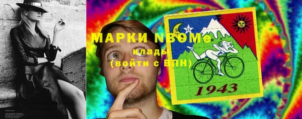 крисы Аркадак