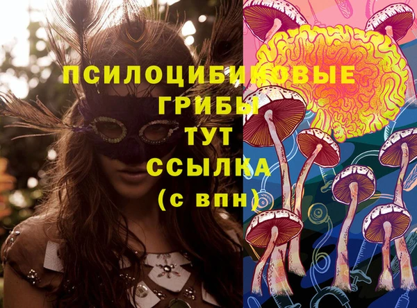 крисы Аркадак