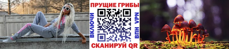 магазин  наркотиков  мега как войти  Псилоцибиновые грибы Psilocybine cubensis  Лысьва 